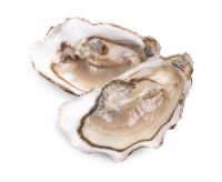 https://fr.tradekey.com/product_view/British-Shellfish-For-Sale-9834995.html