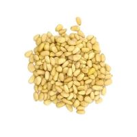 https://ar.tradekey.com/product_view/Best-Pine-Nuts-In-The-World-9835249.html