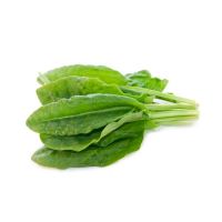 fresh spinach for sale