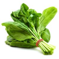 spinach vegetable for sale