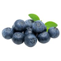 https://www.tradekey.com/product_view/Blueberry-Fruits-For-Sale-Bulk-9835031.html
