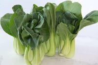 https://jp.tradekey.com/product_view/Bok-Choy-Leaf-For-Sale-Amazon-9834739.html