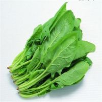 fresh spinach vegetable for sale craigslist florida