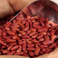 dry kidney beans for sale