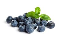 https://ar.tradekey.com/product_view/Blueberry-Fruits-For-Sale-Canada-9835035.html