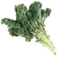 kale vegetable for sale europe