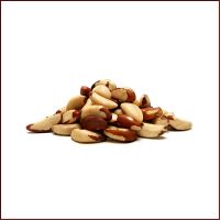 https://ar.tradekey.com/product_view/Brazil-Nut-Tree-For-Sale-9835839.html