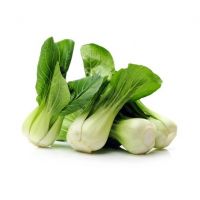 https://www.tradekey.com/product_view/Bok-Choy-Leaf-For-Sale-Marketplace-9834749.html