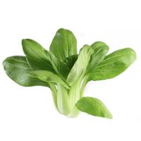 https://es.tradekey.com/product_view/Bok-Choy-Leaf-For-Sale-London-9834747.html