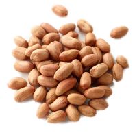 raw dried peanuts for sale
