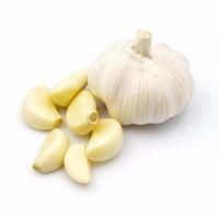 Fresh Garlic For Sale France