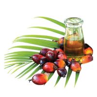 refined palm olein