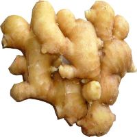 fresh ginger for sale australia