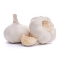 Fresh Garlic For Sale Harare