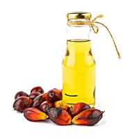 refined palm oil suppliers