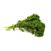kale vegetable suppliers market