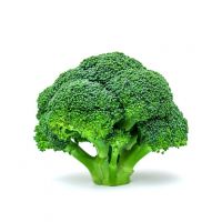 fresh broccoli suppliers denmark