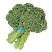 Fresh Broccoli Suppliers California