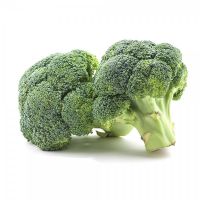 Fresh Broccoli Suppliers Canada