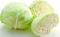 Fresh Cabbage Suppliers China