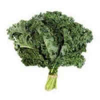 kale vegetable suppliers quality