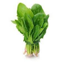spinach vegetable suppliers around the world