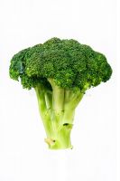 fresh broccoli suppliers and suppliers