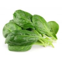spinach vegetable suppliers belgium