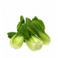 bok choy leaf suppliers and suppliers