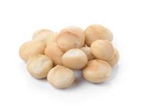 macadamia nuts are the best