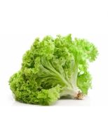 lettuce vegetable suppliers perth