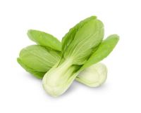 bok choy leaf suppliers vancouver