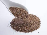 Chia Seed Oil Supplier