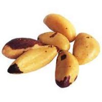 Brazil Nut Processing