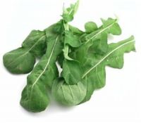https://www.tradekey.com/product_view/Arugula-Leaf-Suppliers-And-Suppliers-9842079.html
