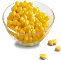 yellow corn flour suppliers