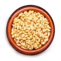 pine nuts suppliers jobs