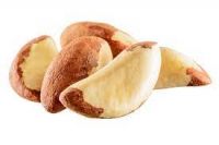 Brazil Nuts Suppliers Africa
