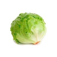 lettuce suppliers usa
