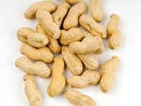virginia peanut suppliers