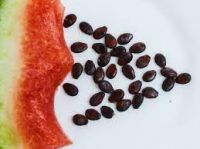 watermelon seed suppliers china