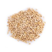 orange seed vs sesame seed