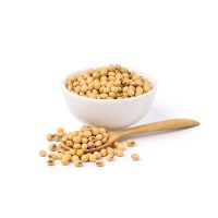 Soybean Seed Companies In Canada