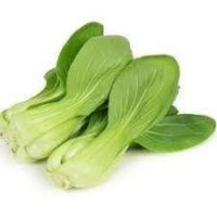 bok choy leaf suppliers website