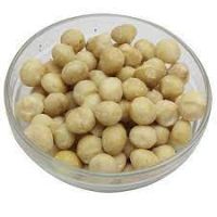 https://ar.tradekey.com/product_view/Largest-Producer-Of-Macadamia-Nuts-9842147.html