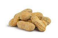 raw peanuts suppliers in south africa
