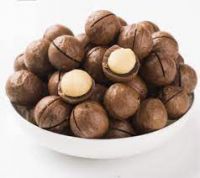 macadamia nut wholesale