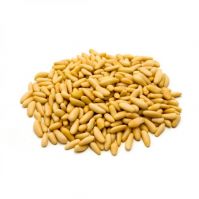 Pine Nuts Suppliers In Mumbai