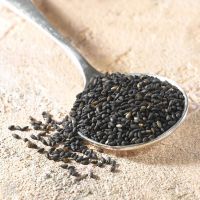 sesame seed supplier in malaysia