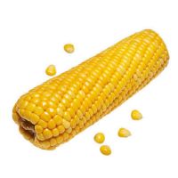 yellow corn meal suppliers